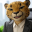 Avatar de José Carlos DS