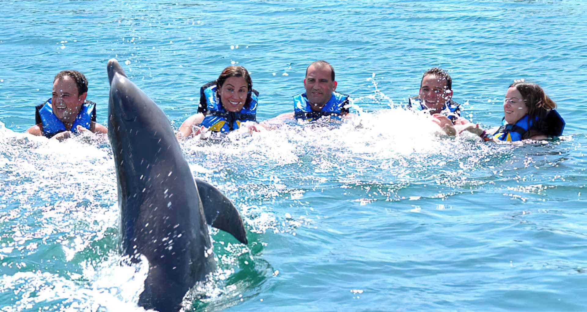 14 Mejores lugares para nadar con delfines en el mundo