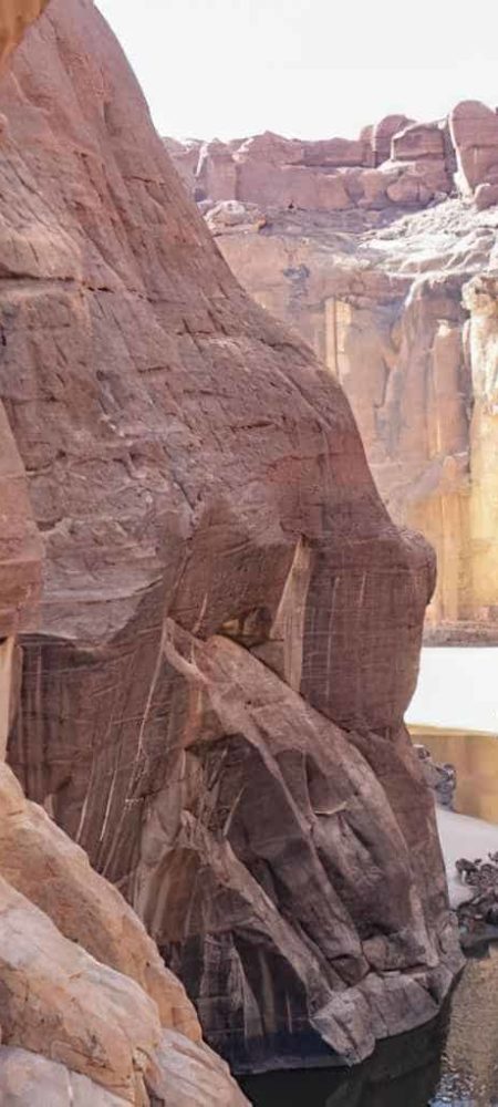 El Guelta de Archei, el oasis de camellos más famoso del Sáhara