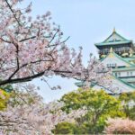 viajarAJapon01