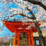 viajarAJapon27