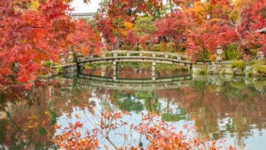 destacadavuelojapon