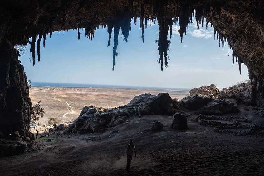 Firmihin, bosque de árboles de sangre de dragón en Socotra 8 d04-55