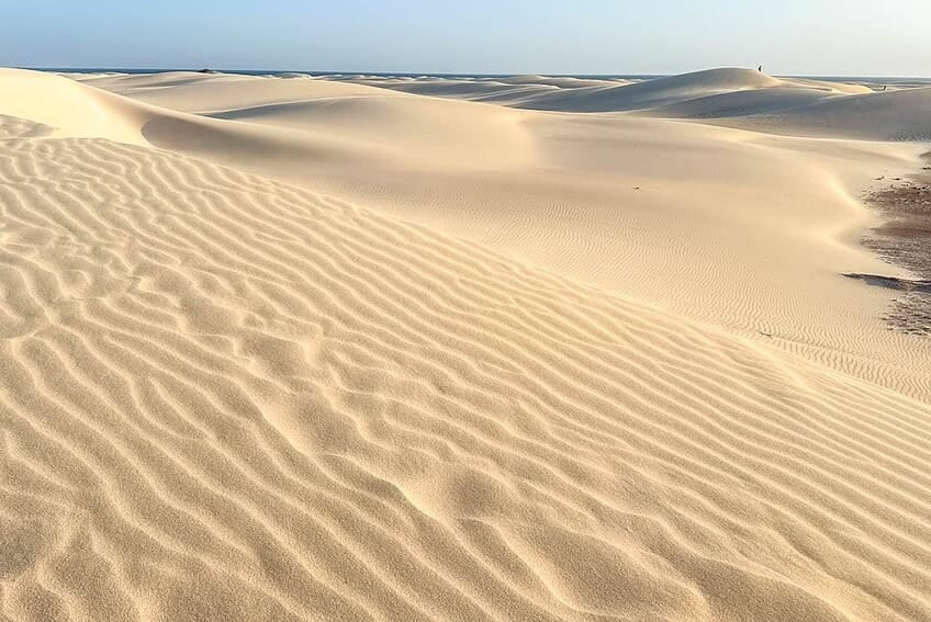 Firmihin, bosque de árboles de sangre de dragón en Socotra 9 d04-59