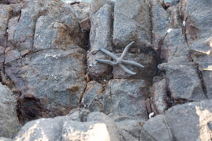Cueva Hoq en Socotra, viaje al centro de la Tierra 8 d06-47