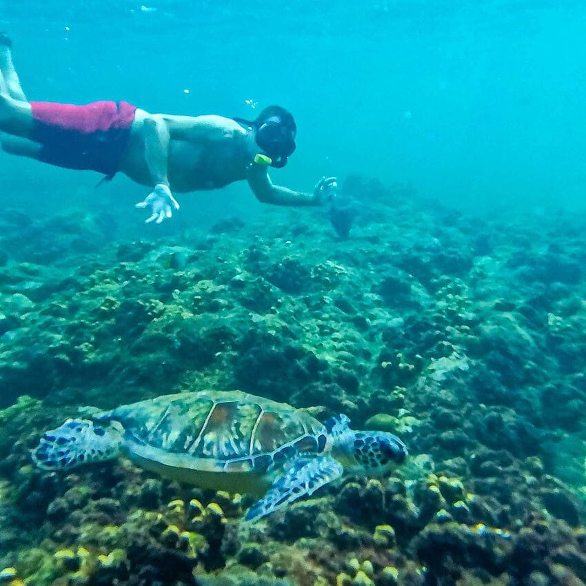 Dunas Arher, Infinity Pool y tortugas en Dihamri 9 d07-57