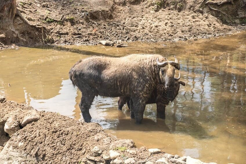 Dormir en el monasterio de Dodeydrak en Bután 7 d04-15