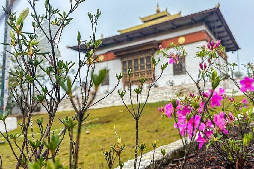 Puente colgante de Punakha, monjas y un Dzong dorado 6 d09-07
