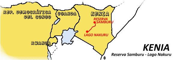 cascadas Thompson, flamenco, gamedrive, Kenia, Lago Nakuru, Menengai, mochilero, por libre, rinoceronte, safari, Samburu