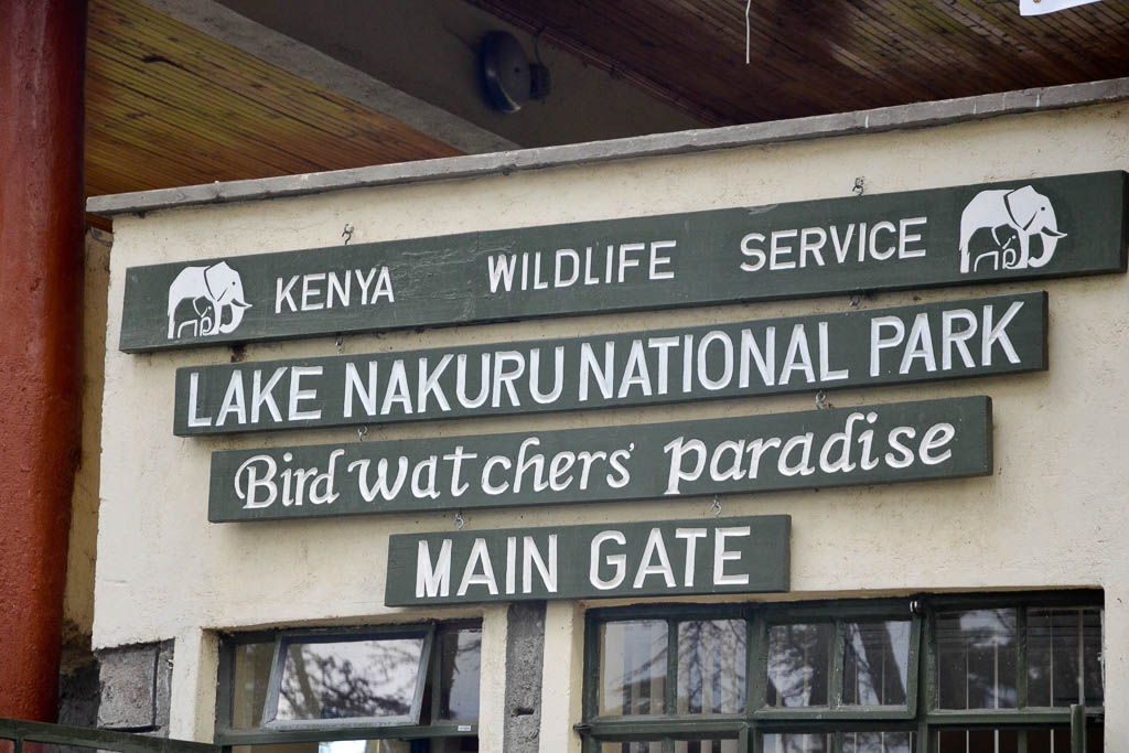 cascadas Thompson, flamenco, gamedrive, Kenia, Lago Nakuru, Menengai, mochilero, por libre, rinoceronte, safari, Samburu