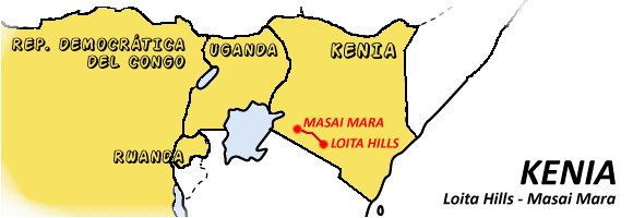 carretera, Kenia, leon, Loita Hills, Masai Mara, mochilero, por libre