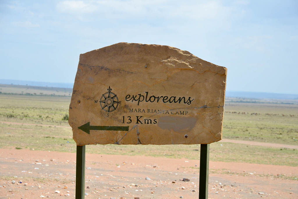 carretera, Kenia, leon, Loita Hills, Masai Mara, mochilero, por libre