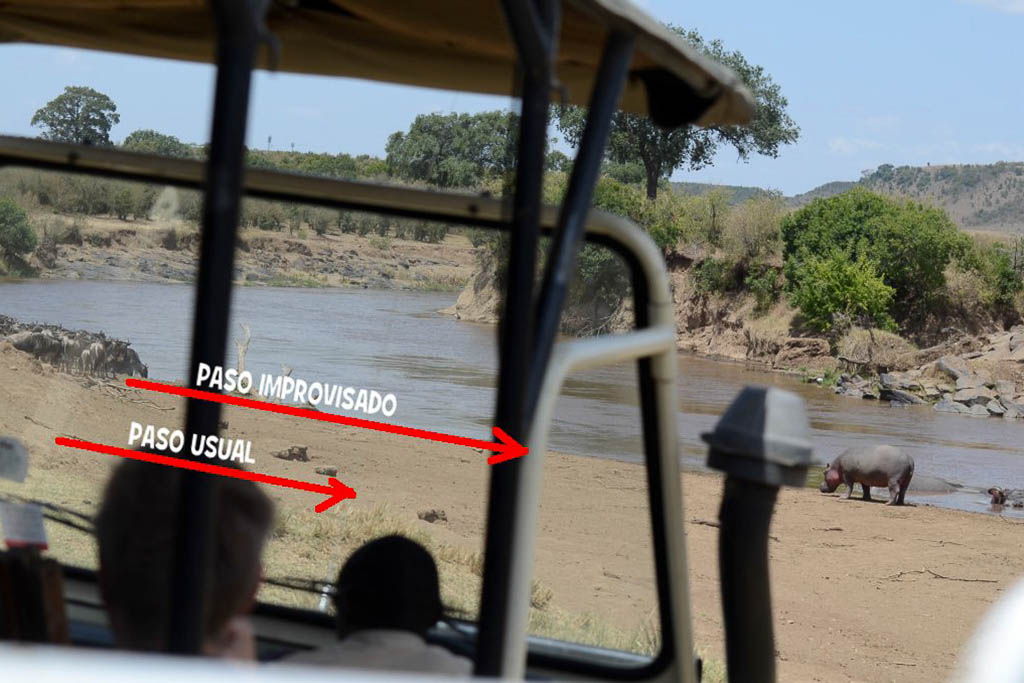 cruce rio, elefante, globo, jirafa, Kenia, leon, Masai Mara, mochilero, por libre, serengueti