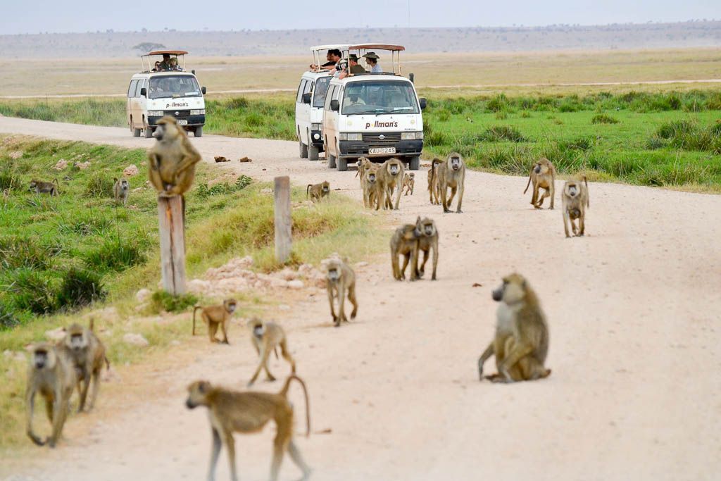 Amboseli, atardecer, babuino, carretera, elefante, Kenia, Kilimanjaro, Lago Naivasha, mochilero, por libre, tornado