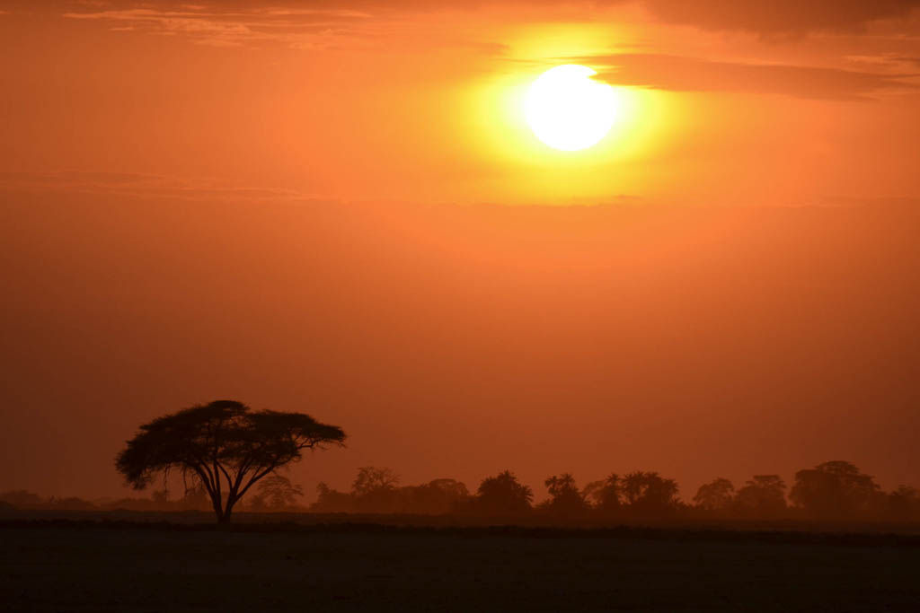 Amboseli, atardecer, elefante, jirafa, Kenia, Kilimanjaro, mochilero, observacion hill, por libre