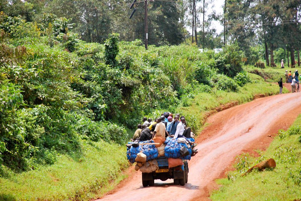ankole, bosque, carretera, Kibale, mochilero, Murchison Falls, por libre, selva, Uganda