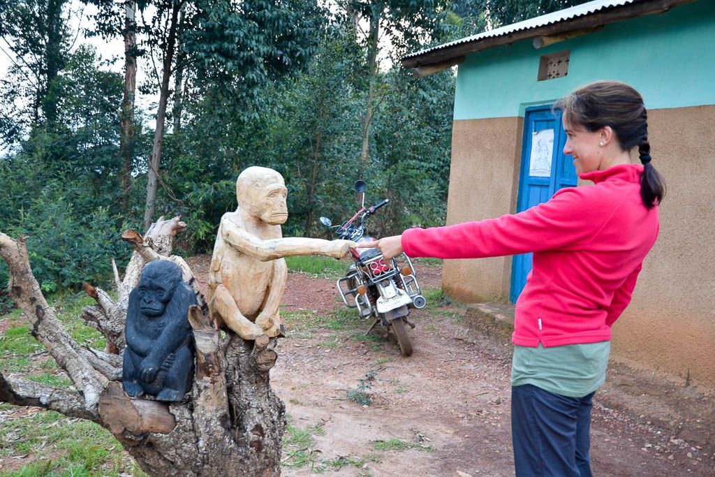 carretera, Ishasha, leon, mochilero, por libre, Queen Elisabeth, Ruhija, Uganda