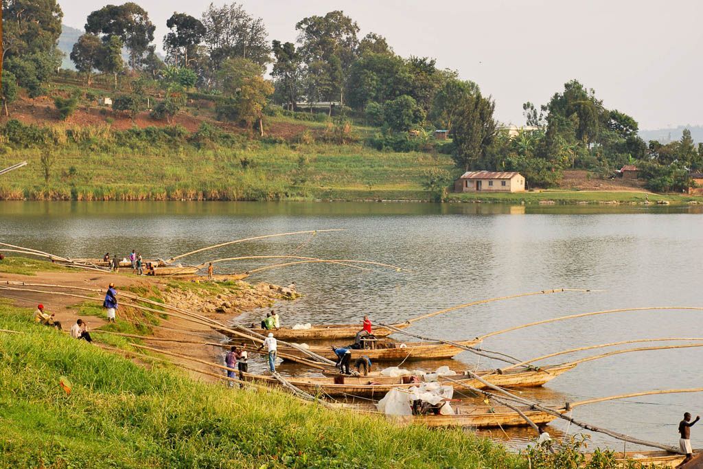 Gisenyi, golden monkeys, lago, mochilero, por libre, Ruanda, Ruhengeri