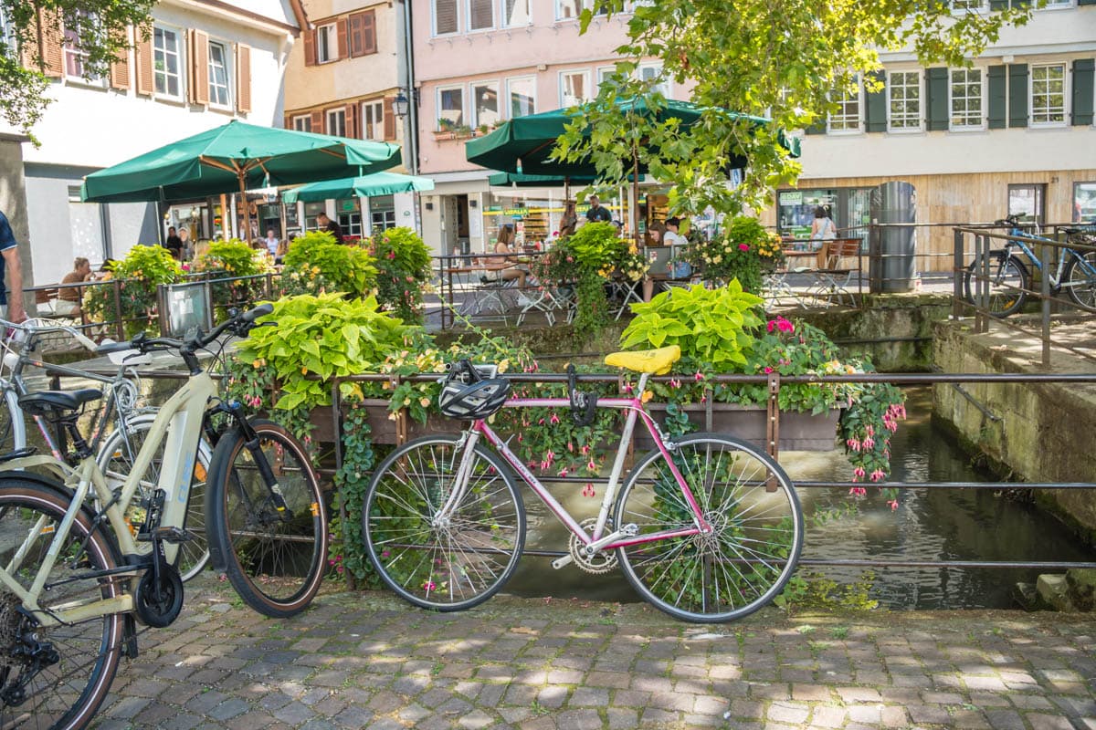 Alemania, imprescindibles, itinerario, lugares, que hacer, que ver, recorrido, ruta, Selva Negra, Tubinga, viaje con amigos, visitas
