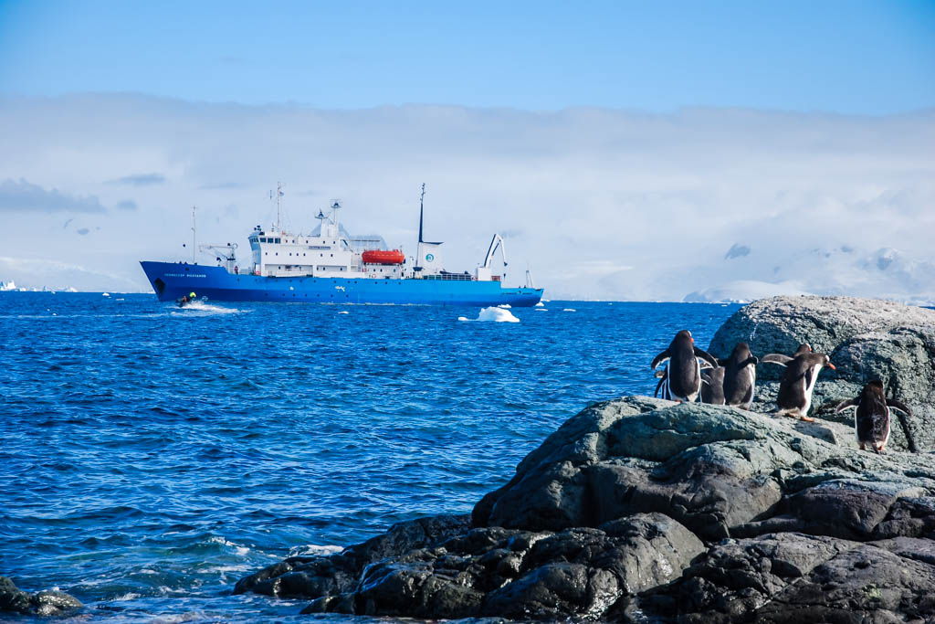 Antártida, Decepcion Island, Mikkelsen Harbour, por libre, Port Foster, Telephon Bay, Trinity Island, viaje exploración, viaje solo