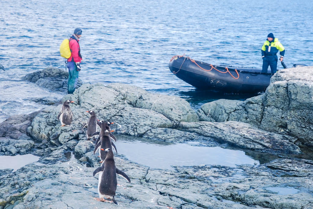 Antártida, Decepcion Island, Mikkelsen Harbour, por libre, Port Foster, Telephon Bay, Trinity Island, viaje exploración, viaje solo