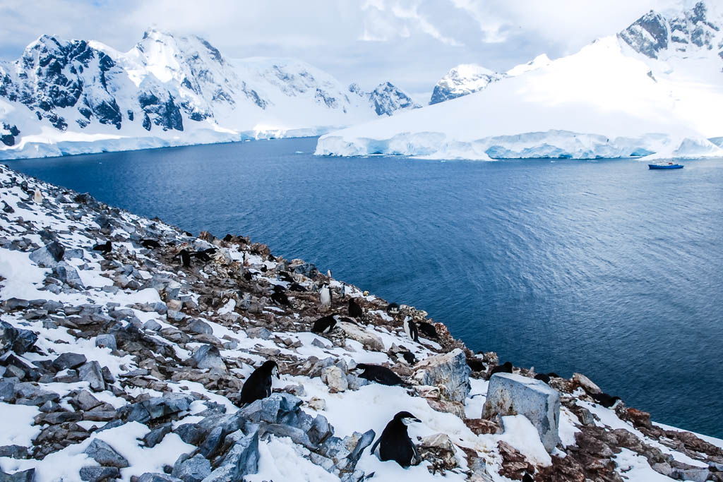 Antártida, Cuverville Island, Danco Island, Orne Harbour, por libre, Spigot Peak, viaje exploración, viaje solo