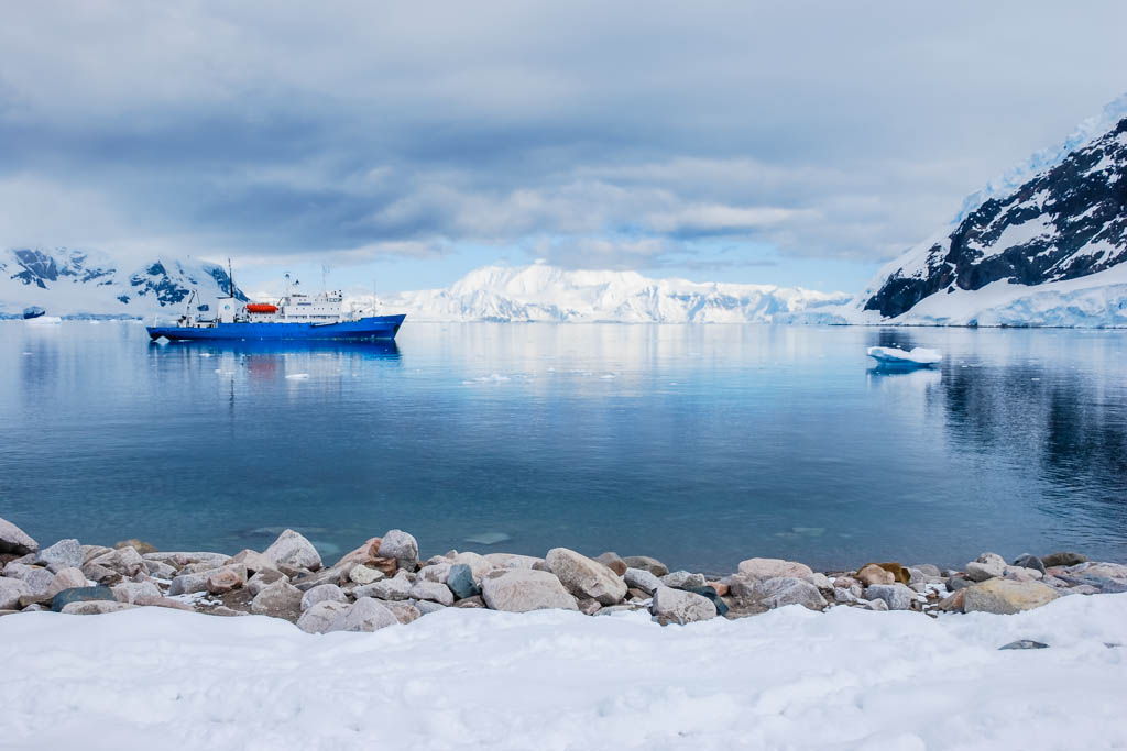 Antártida, expedición, Neko Harbour, por libre, viaje exploración, viaje solo