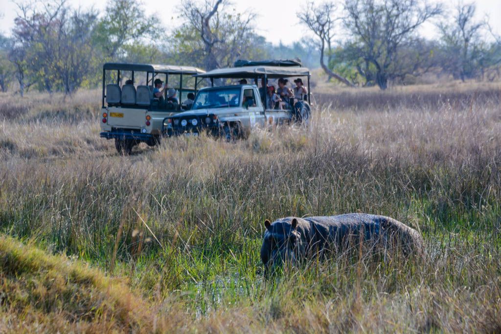 agencia especializada, botswana, Delta del Okavango, Moremi, safari, viaje con amigos