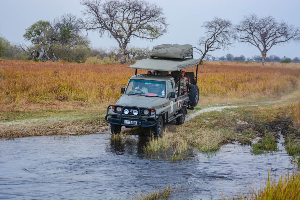 agencia especializada, botswana, Delta, Moremi, Okavango, safari, viaje con amigos, Xhobega