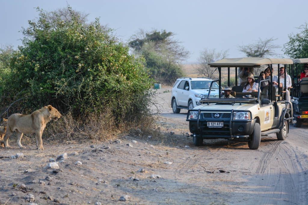 agencia especializada, botswana, Chobe, Kasane, safari, viaje con amigos