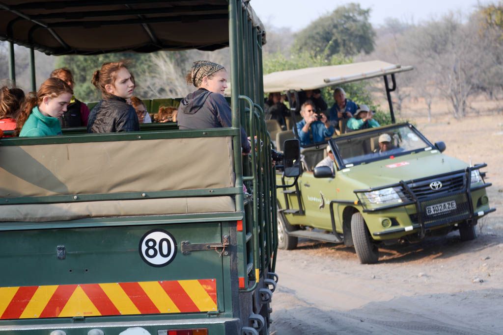 agencia especializada, botswana, Chobe, Kasane, safari, viaje con amigos