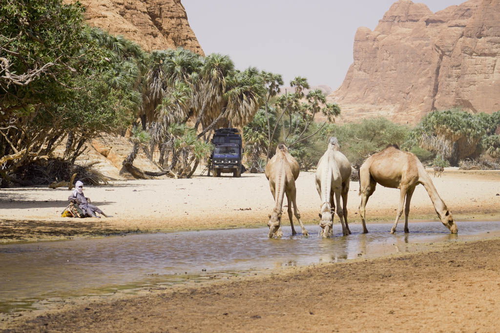 agencia especializada, Arco de Aloba, Arco de Julia, Chad, Ennedi, Guelta de Bachikélé, viaje en camión, viaje solo