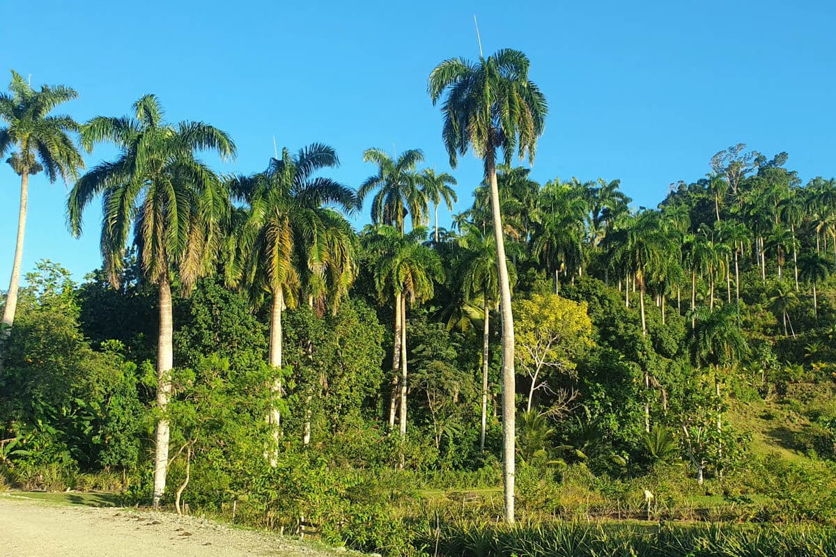 Baracoa, Cayo Saetía, Cuba, playa, ruta en coche, safari