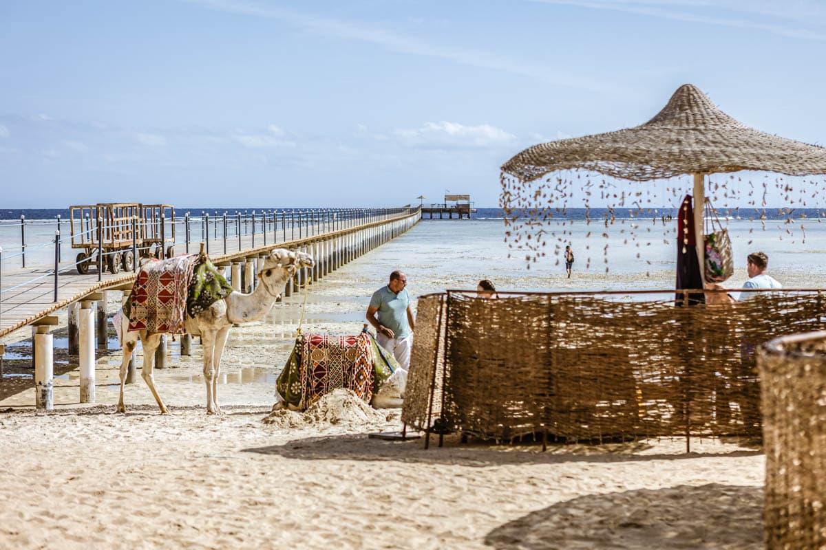alejandria, dahab, Egipto, hurgada, marsa alam, mejores, playas, ruta, sharm el sheikh, Viaje