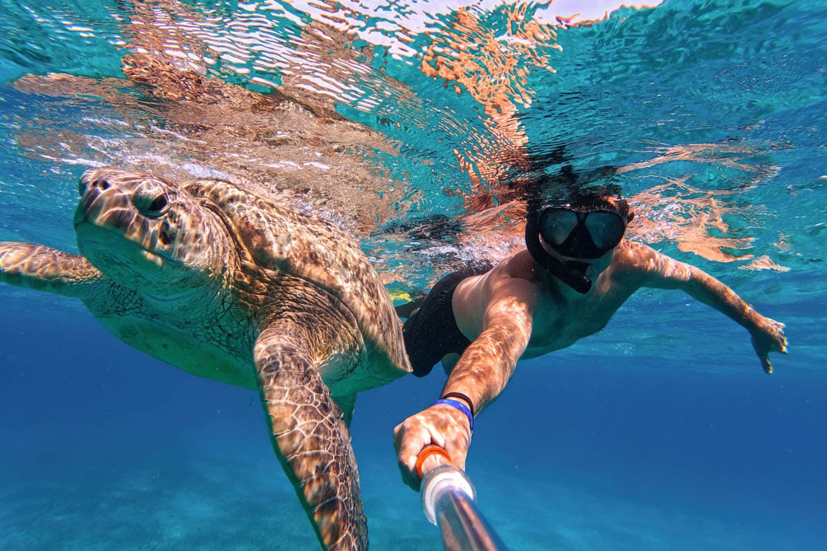alejandria, dahab, Egipto, hurgada, marsa alam, mejores, playas, ruta, sharm el sheikh, Viaje
