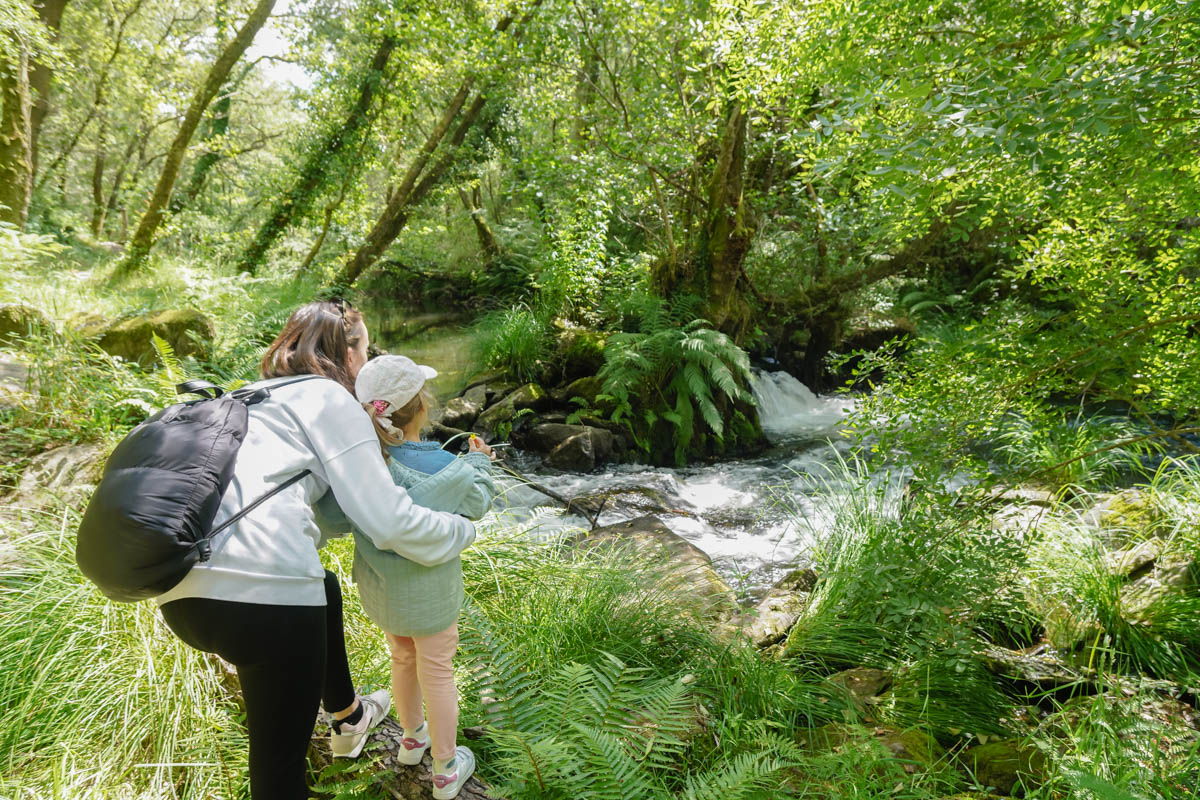 Camino, Galicia, imprescindibles, lugares de interés, paradas, peregrinación, qué ver, ruta, Santiago, senderismo, tui