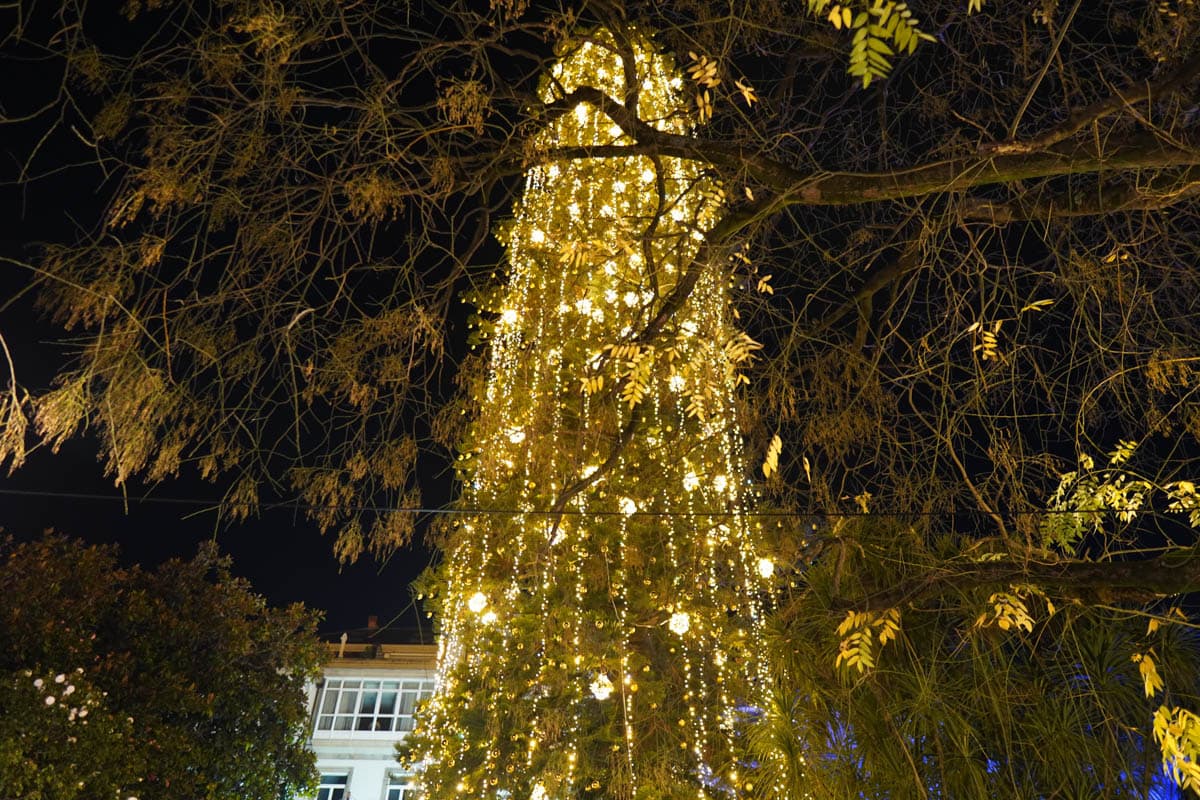 árbol, luces, mercadillos, Navidad, navideños, noria, que hacer, que ver, visitas