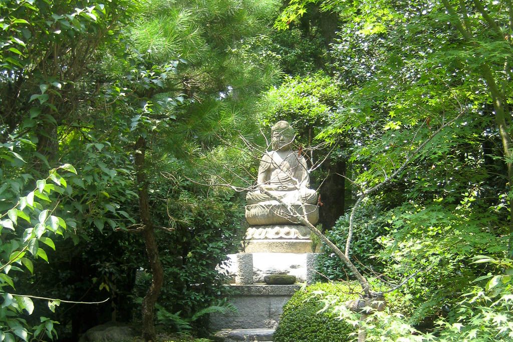 Arashiyama, japon, kyoto, Ninja, por libre, Ryoan, templo dorado, Tenryu, viaje con amigos