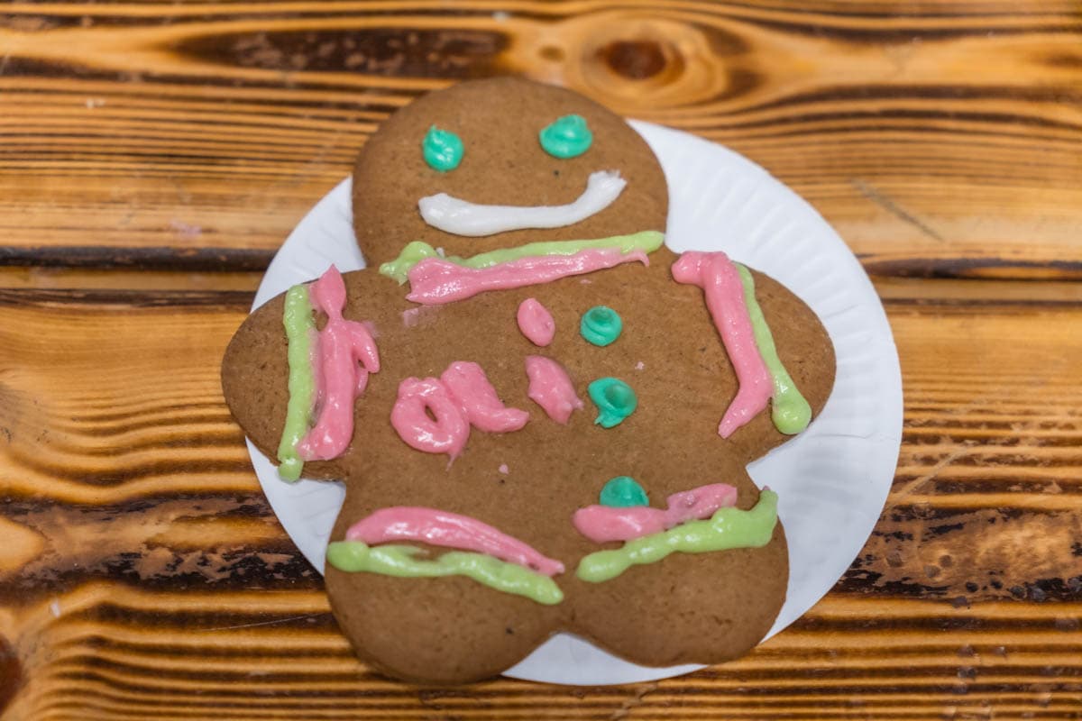 atracciones, elfos, escuela, finlandia, guia, laponia, por libre, que ver, Rovaniemi, Santa Park, viaje en familia