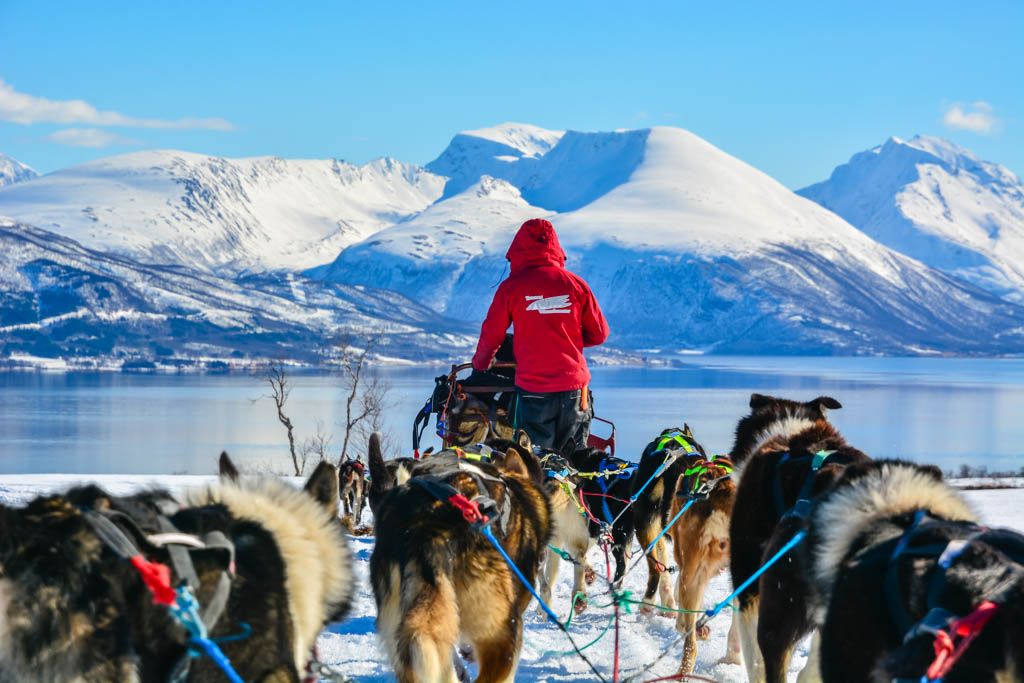 agencia especializada, Ártico, Islas Lofoten, itinerario, Kvaloysletta, Noruega, trineo de perros, Tromso, viaje solo