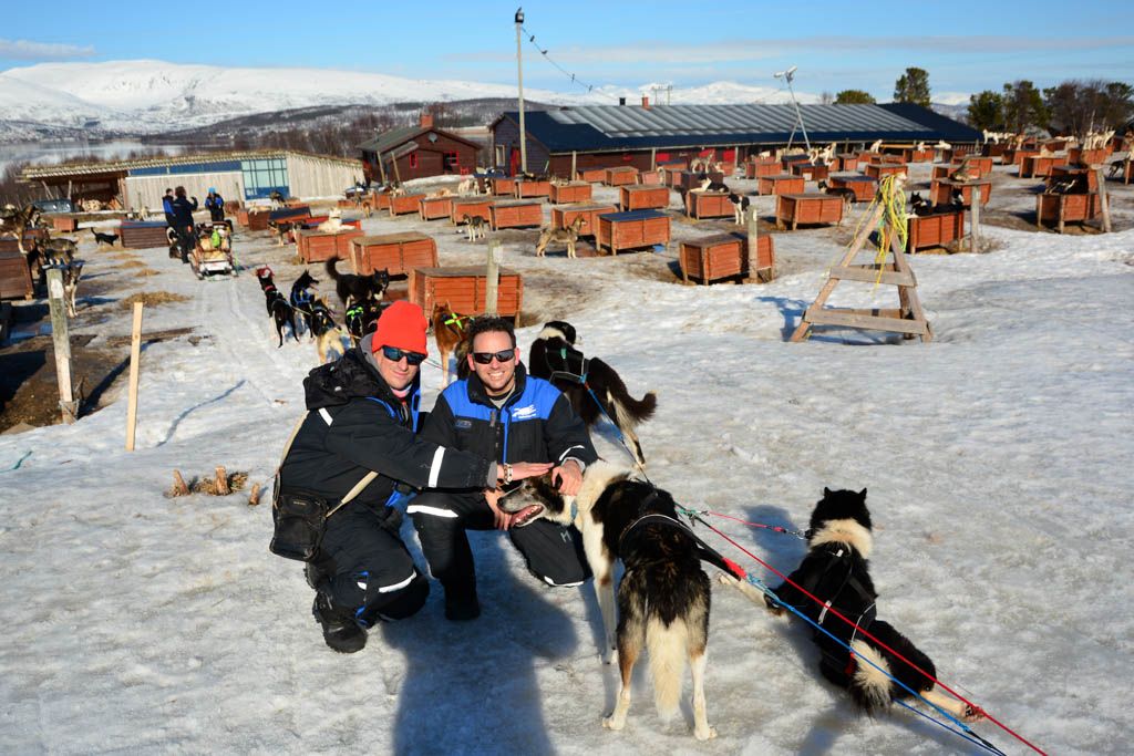 agencia especializada, Ártico, Islas Lofoten, itinerario, Kvaloysletta, Noruega, trineo de perros, Tromso, viaje solo