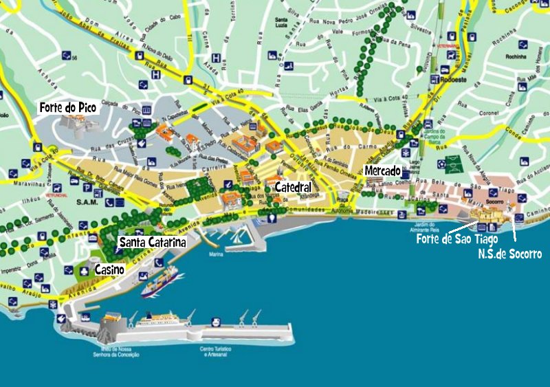 delfines, Doca Do Cavacas, Fortaleza do Pico, Funchal, Hotel The Vine, Portugal, Quinta Das Cruzes, Tukxi