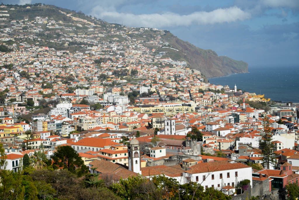 delfines, Doca Do Cavacas, Fortaleza do Pico, Funchal, Hotel The Vine, Portugal, Quinta Das Cruzes, Tukxi