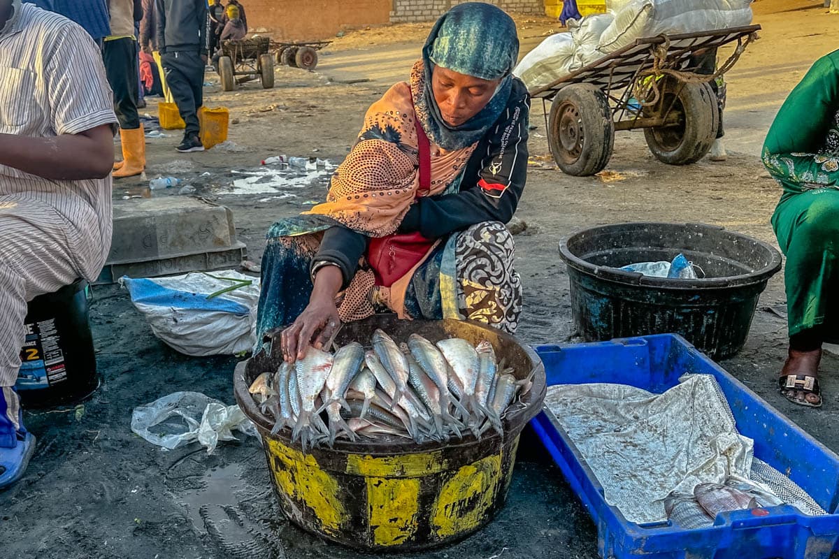 agencia especializada, Aventura, expedición, Mauritania, Nuakchot, que ver, ruta, Viaje, viaje solo
