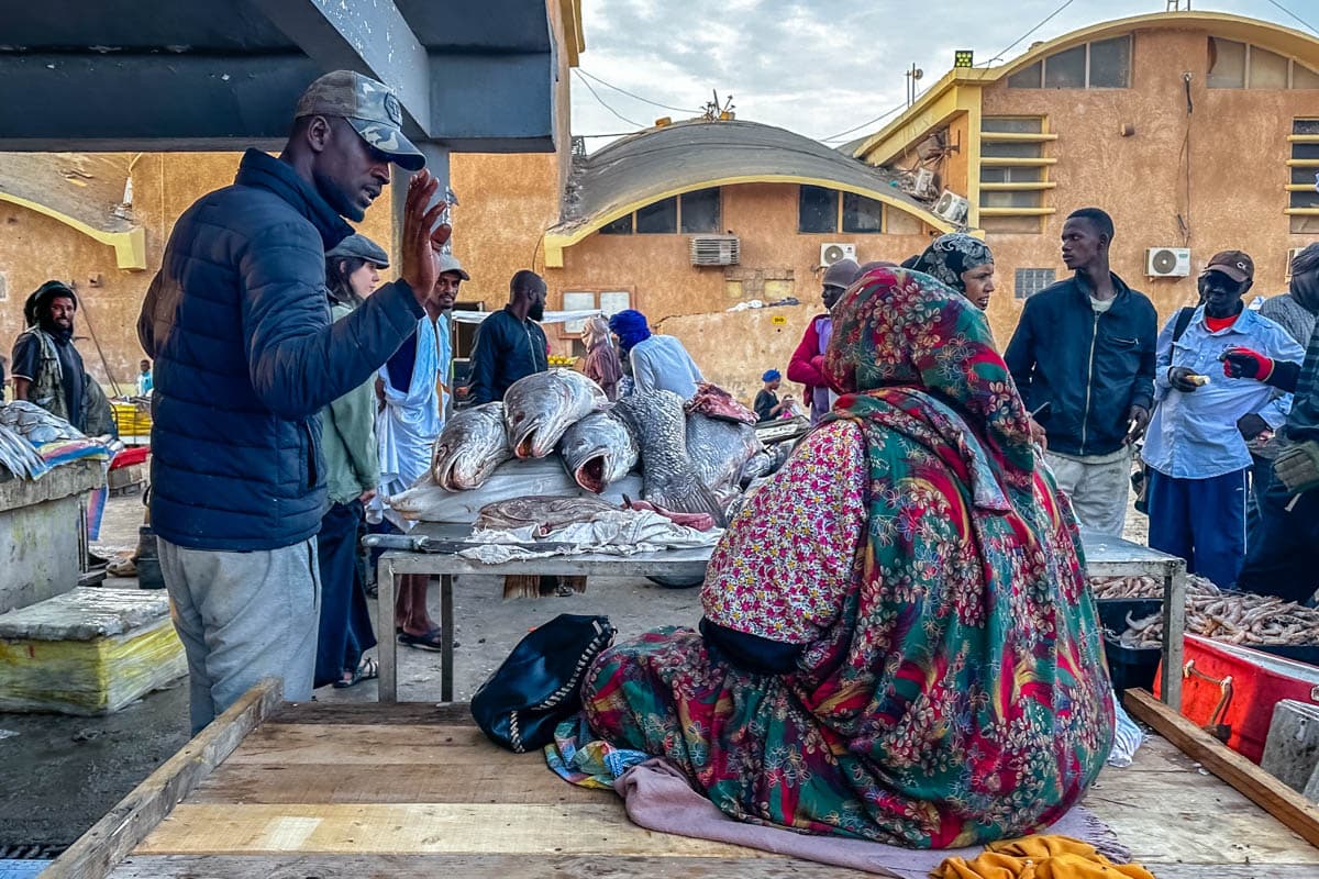 agencia especializada, Aventura, expedición, Mauritania, Nuakchot, que ver, ruta, Viaje, viaje solo