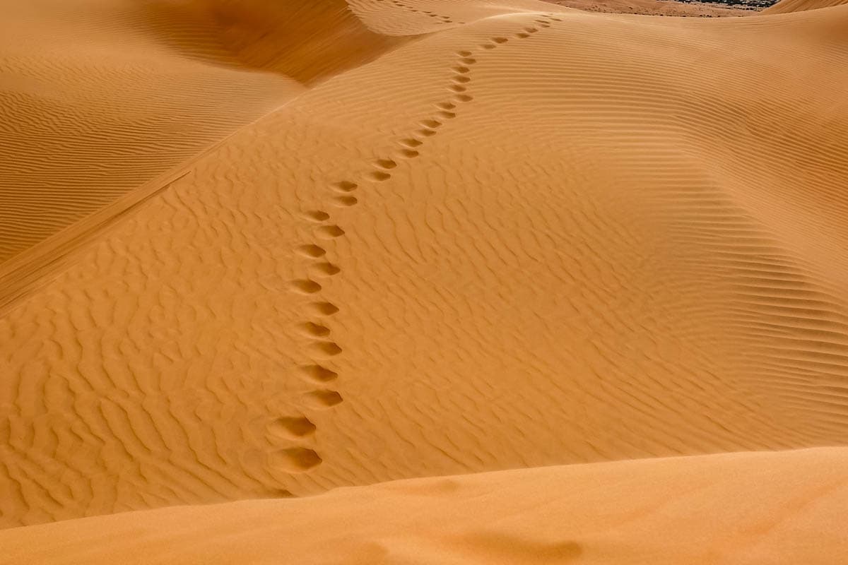 agencia especializada, Aventura, Azoueigua, expedición, Mauritania, que ver, ruta, Tifoujar, Viaje, viaje solo