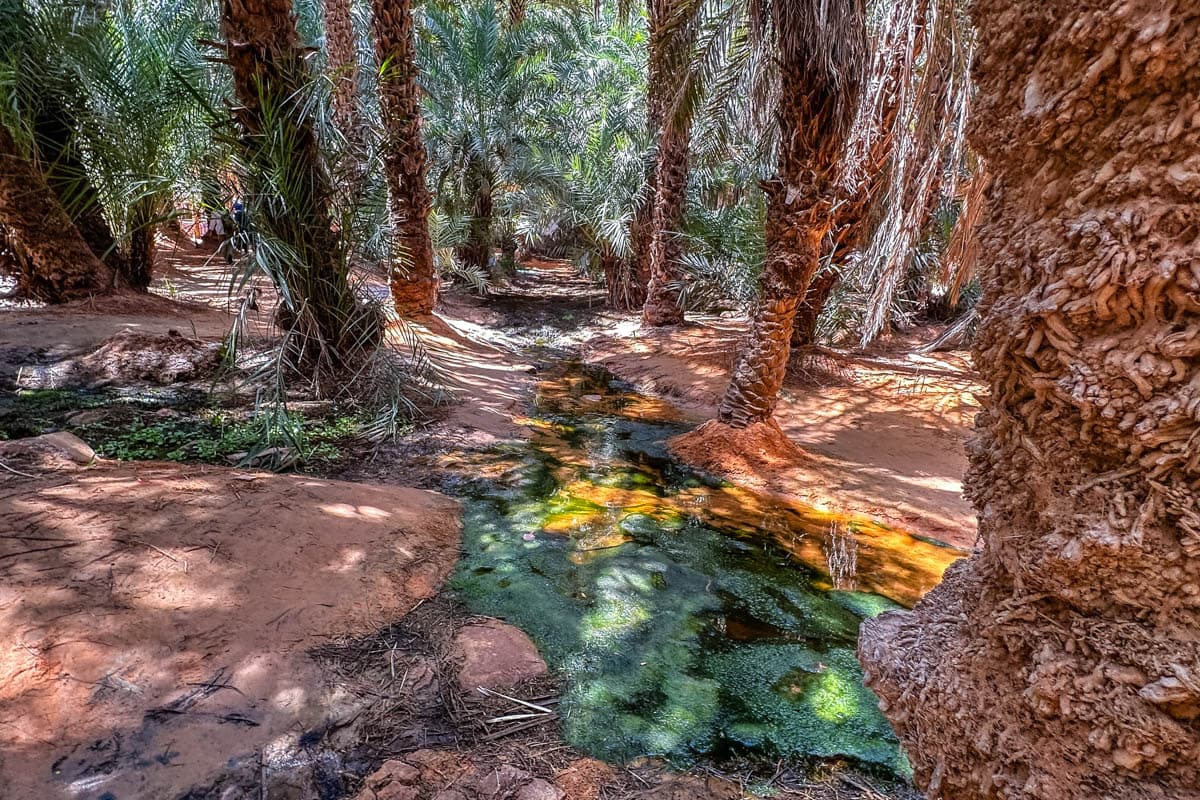 agencia especializada, Aventura, Azoueigua, expedición, Mauritania, Mhaireth, que ver, ruta, Terjit, Viaje, viaje solo