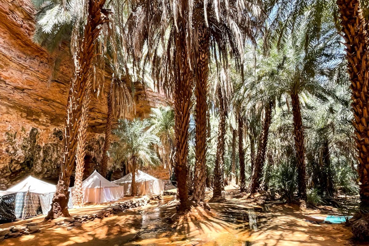 agencia especializada, Aventura, Azoueigua, expedición, Mauritania, Mhaireth, que ver, ruta, Terjit, Viaje, viaje solo