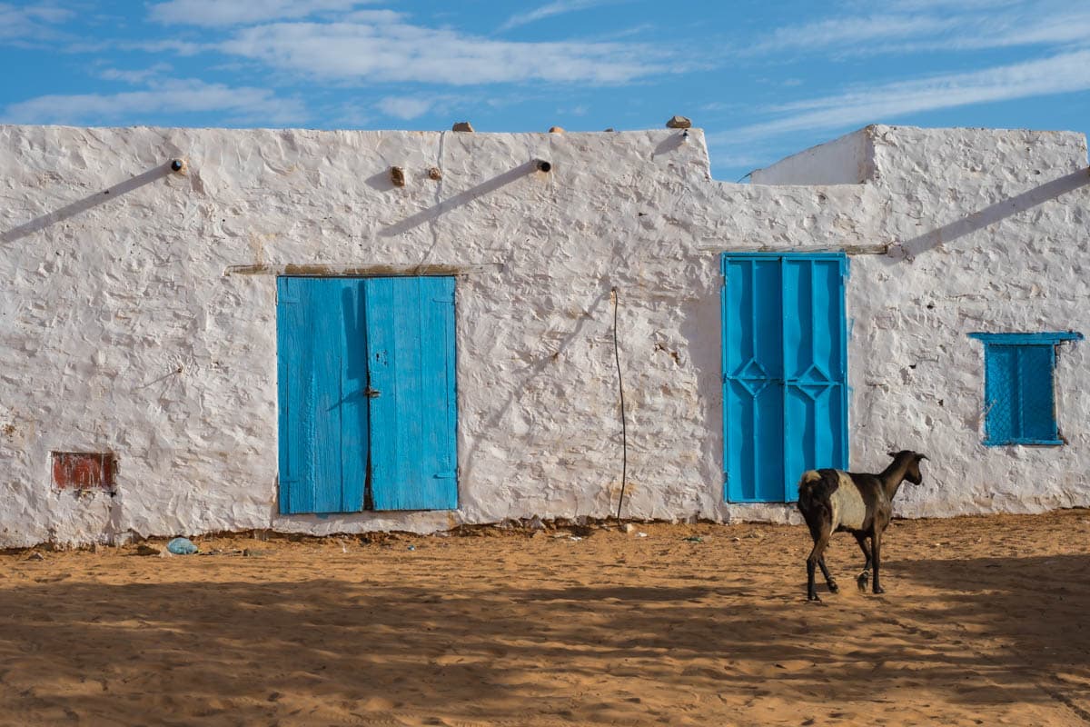 agencia especializada, Atar, Aventura, bibliotecas, Chinguetti, expedición, Mauritania, Ouadane, que ver, ruta, Viaje, viaje solo, visitas