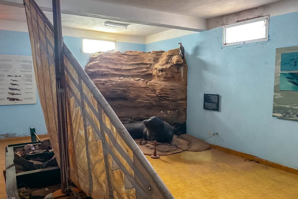 agencia especializada, Aventura, choum, expedición, Mauritania, Nuadibú, que ver, ruta, tren de hierro, Viaje, viaje solo
